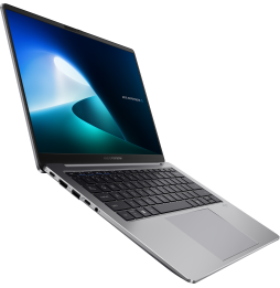 Ordinateur portable Asus ExpertBook P5 (P5405CSA-NZ0410)
