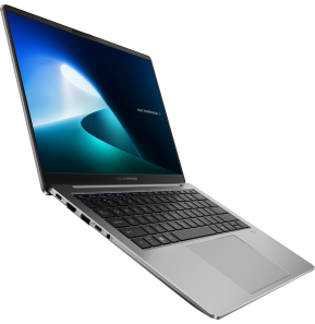 Ordinateur portable Asus ExpertBook P5 (P5405CSA-NZ0412X)
