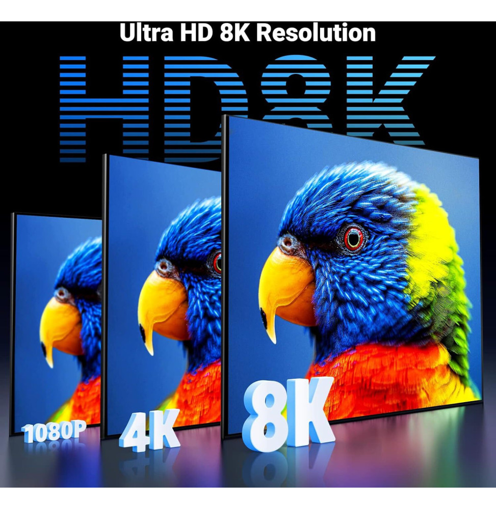 Câble HDMI Ugreen en action