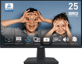 Écran 25" Full HD MSI Pro MP251 (9S6-3PC2CM-002)