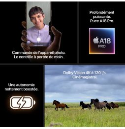 iPhone 16 Pro Max 256 Go | Couleur Titane sable (MYWX3ZD/A)
