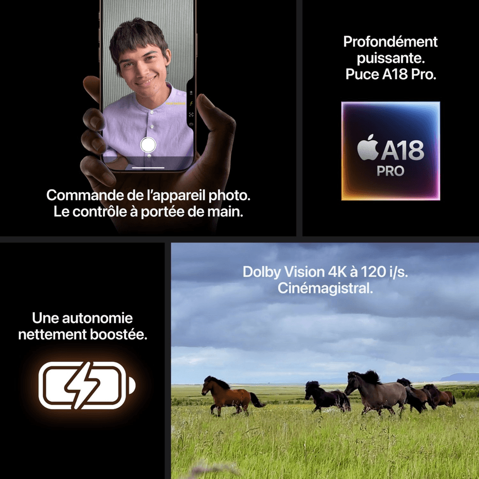 iPhone 16 Pro Max 256 Go | Couleur Titane sable (MYWX3ZD/A) — image 6