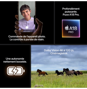 iPhone 16 Pro Max 256 Go | Couleur Titane sable (MYWX3ZD/A)
