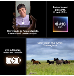 iPhone 16 Pro Max 512 Go | Couleur Titane sable (MYX23ZD/A)