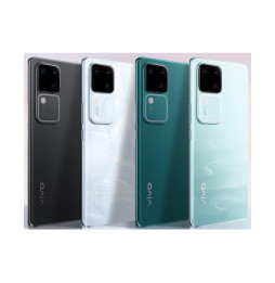 vivo V30