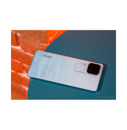 vivo V30