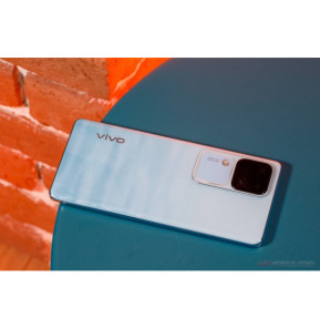 vivo V30