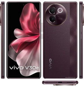 vivo V30e