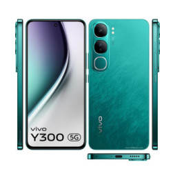 vivo Y300