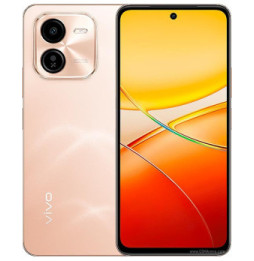 vivo Y200+