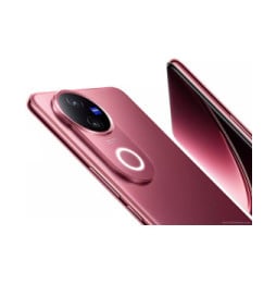 vivo V50
