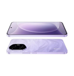 Honor 300