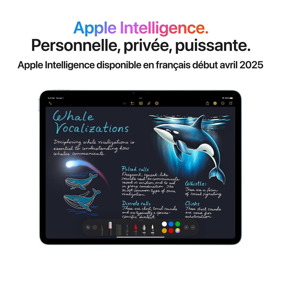 Apple iPad Air M3 13 pouces (2025) Wi-Fi + Cellular 256 Go Gris Sidéral — image 2