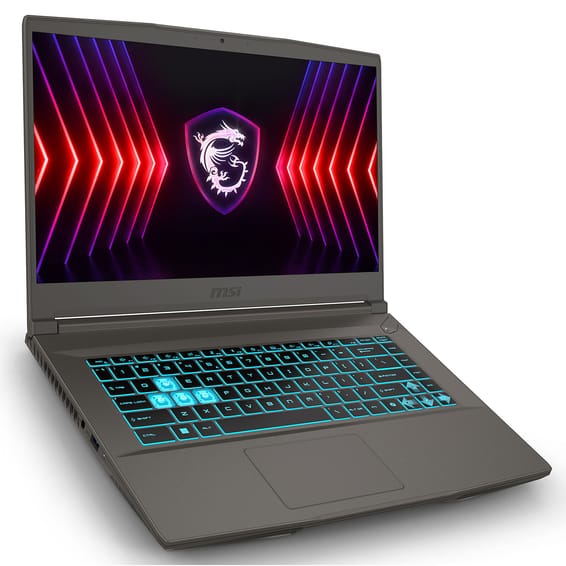 PC portable MSI Thin 15 B12VE-1230FR