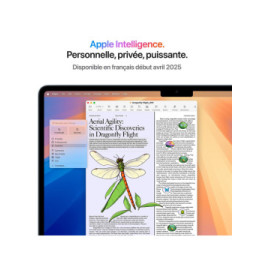 Apple MacBook Air M4 13 pouces (MC6T4)