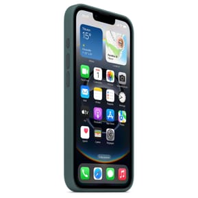 Apple Silicone Case Vert Lacustre Apple iPhone 16e — image 2
