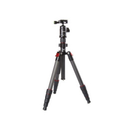 Starblitz ZTSC215