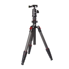 Starblitz ZTSC215