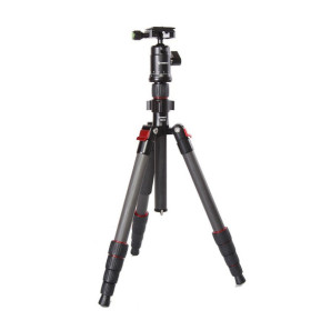 Starblitz ZTSC215