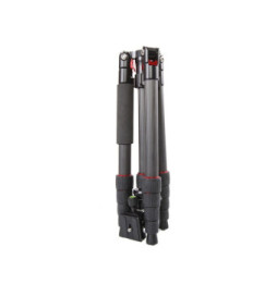 Starblitz ZTSC215