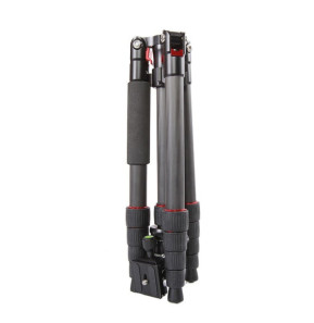 Starblitz ZTSC215