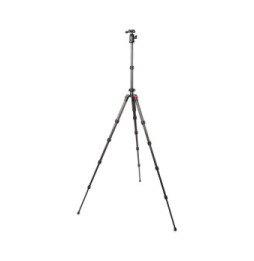 Starblitz ZTSC215