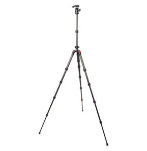 Starblitz ZTSC215