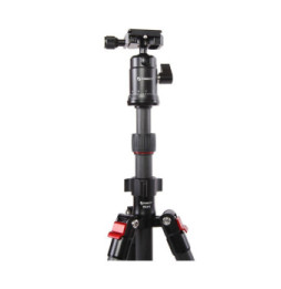 Starblitz ZTSC215