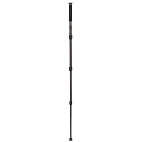 BENRO Monopode photo carbone Mach3 MMA28C — image 2