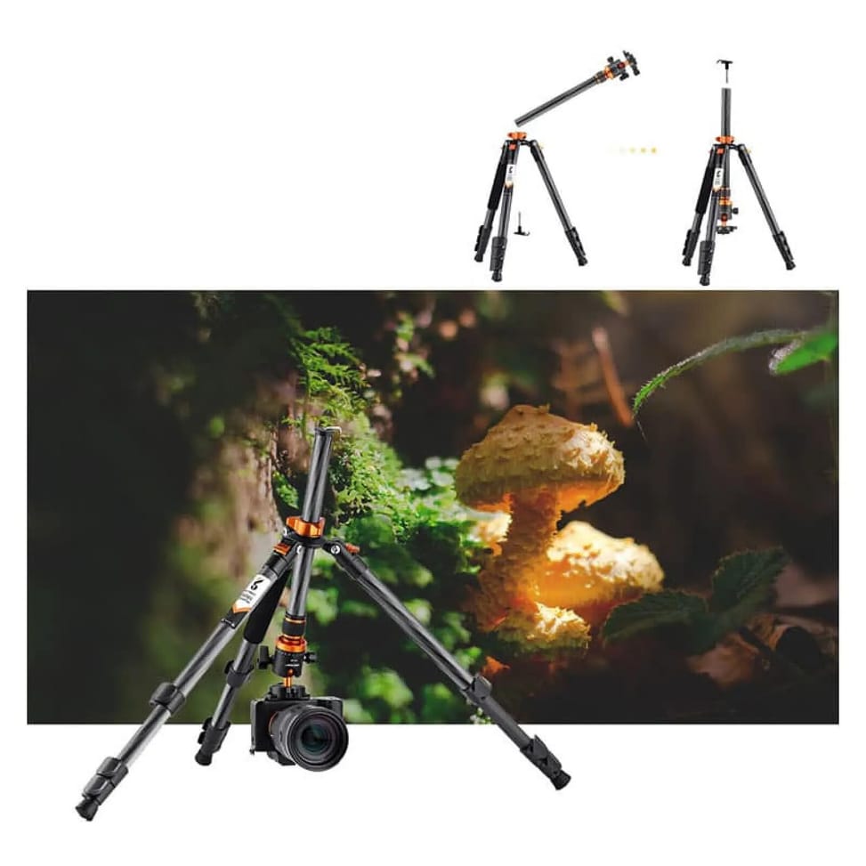 K&F Trepied carbone D254C1 + rotule BH-28L — image 4