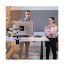 Ergotron Bras pour écran LX Aluminium
