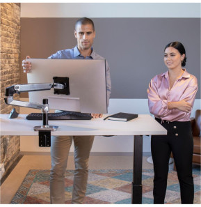 Ergotron Bras pour écran LX Aluminium