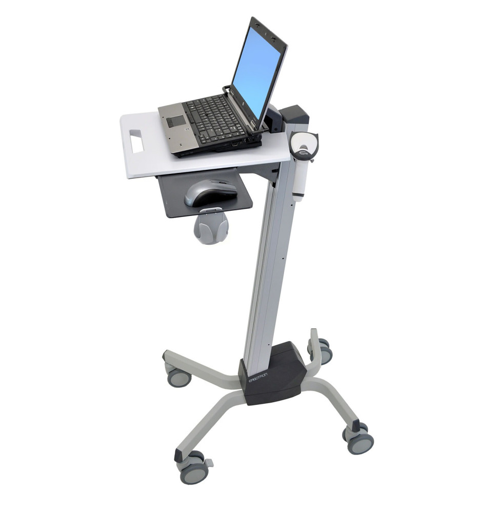 Ergotron Neo-Flex 24-205-214