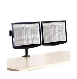Fellowes Bras porte écran double Professional Series