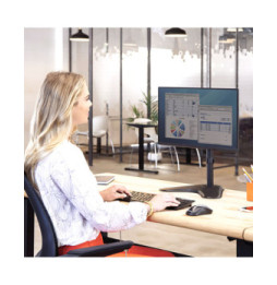 Fellowes Bras porte écran vertical sur pied Professional