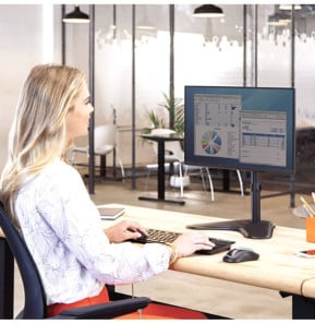 Fellowes Bras porte écran vertical sur pied Professional