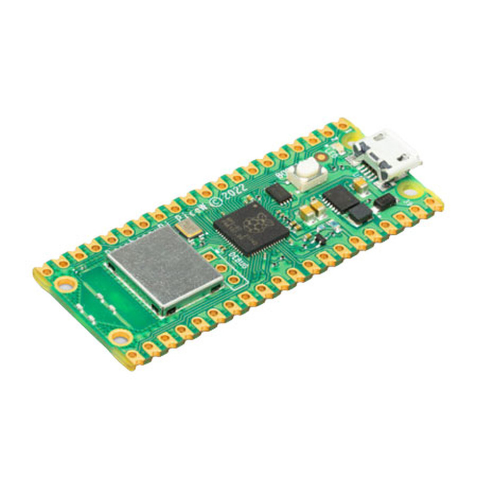 Raspberry Pi Pico W