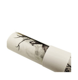 Designed by GG Long Tail Edition Kirin (XXL)