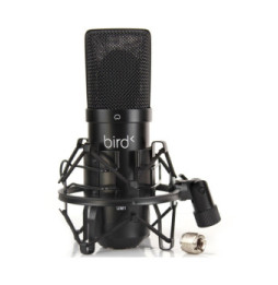 Bird UM1