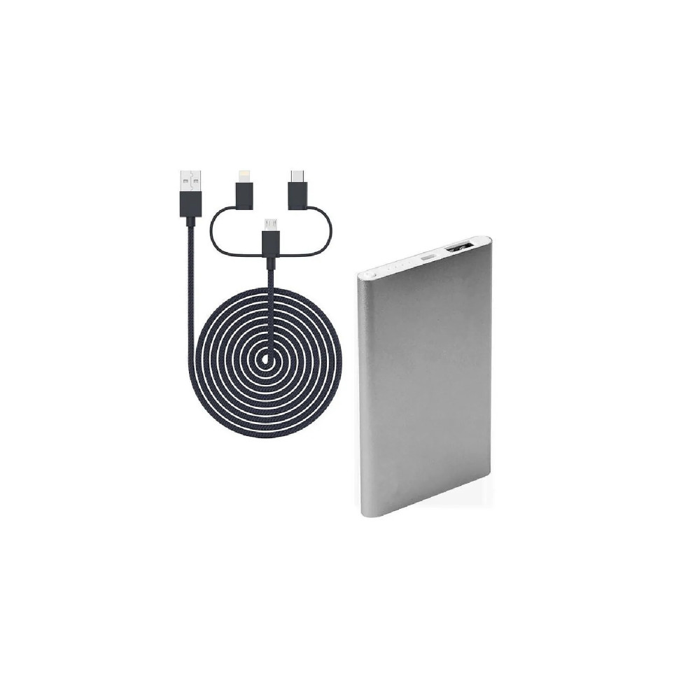 Blaupunkt - Batterie externe 4000mAh avec câble 3-en-1 - BLP7100-143 - Gris Argent