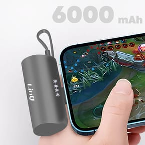 LinQ Batterie de Secours 6000mAh Double Connectivité USB C et Lightning Noir — image 5