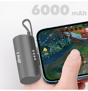 LinQ Batterie de Secours 6000mAh Double Connectivité USB C et Lightning Noir