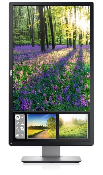 Moniteur Dell Professional LED P2414H 60,4cm (23,8") (P2414H-3Y)