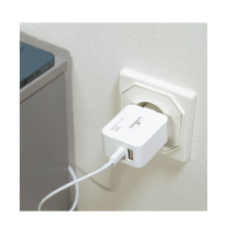 Bluestork Chargeur USB-C PD 3.0 20W