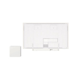 TV TCL 55A300 Pro