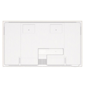 TV TCL 55A300W
