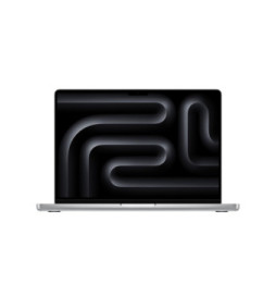 Apple MacBook Pro M4 14 Argent 16 Go/1 To (MW2X3FN/A)