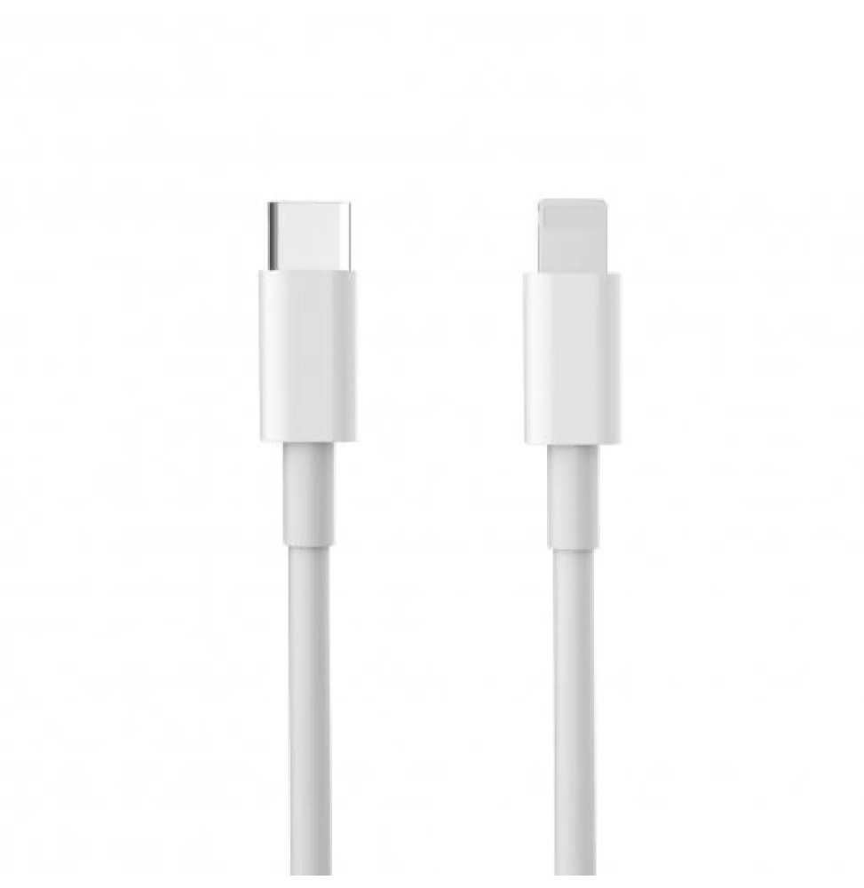 Evetane Câble blanc 2M USB C/Lightning (MFi) pour iPhones