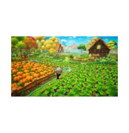 Everdream Valley Nintendo Switch