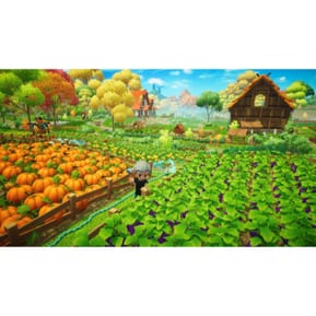 Everdream Valley Nintendo Switch — image 3